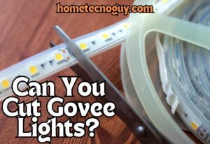 Read more about the article Can You Cut and Reconnect Govee Lights?