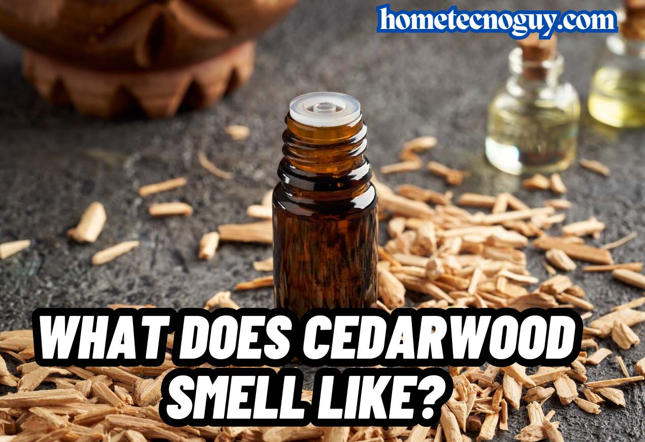 Read more about the article What Does Cedarwood Smell Like?